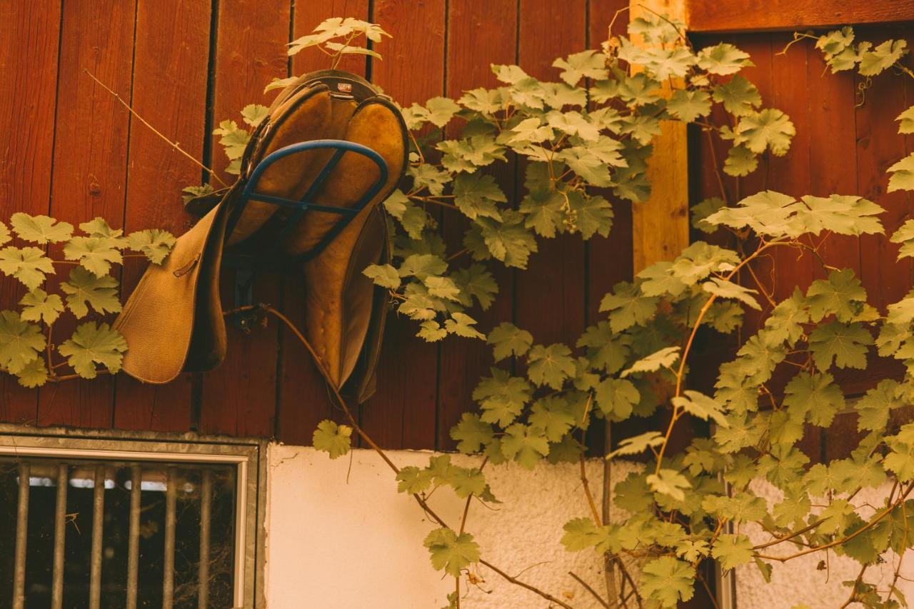 Toric Farmlodge Brastad エクステリア 写真