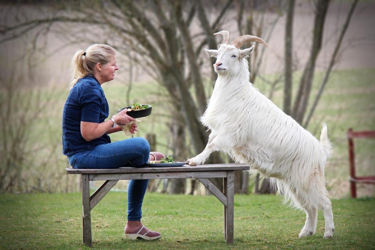 Toric Farmlodge Brastad エクステリア 写真