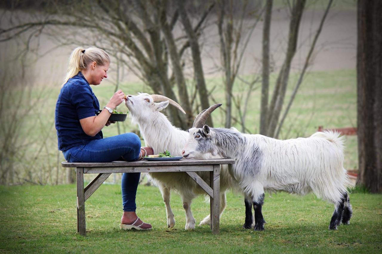 Toric Farmlodge Brastad エクステリア 写真