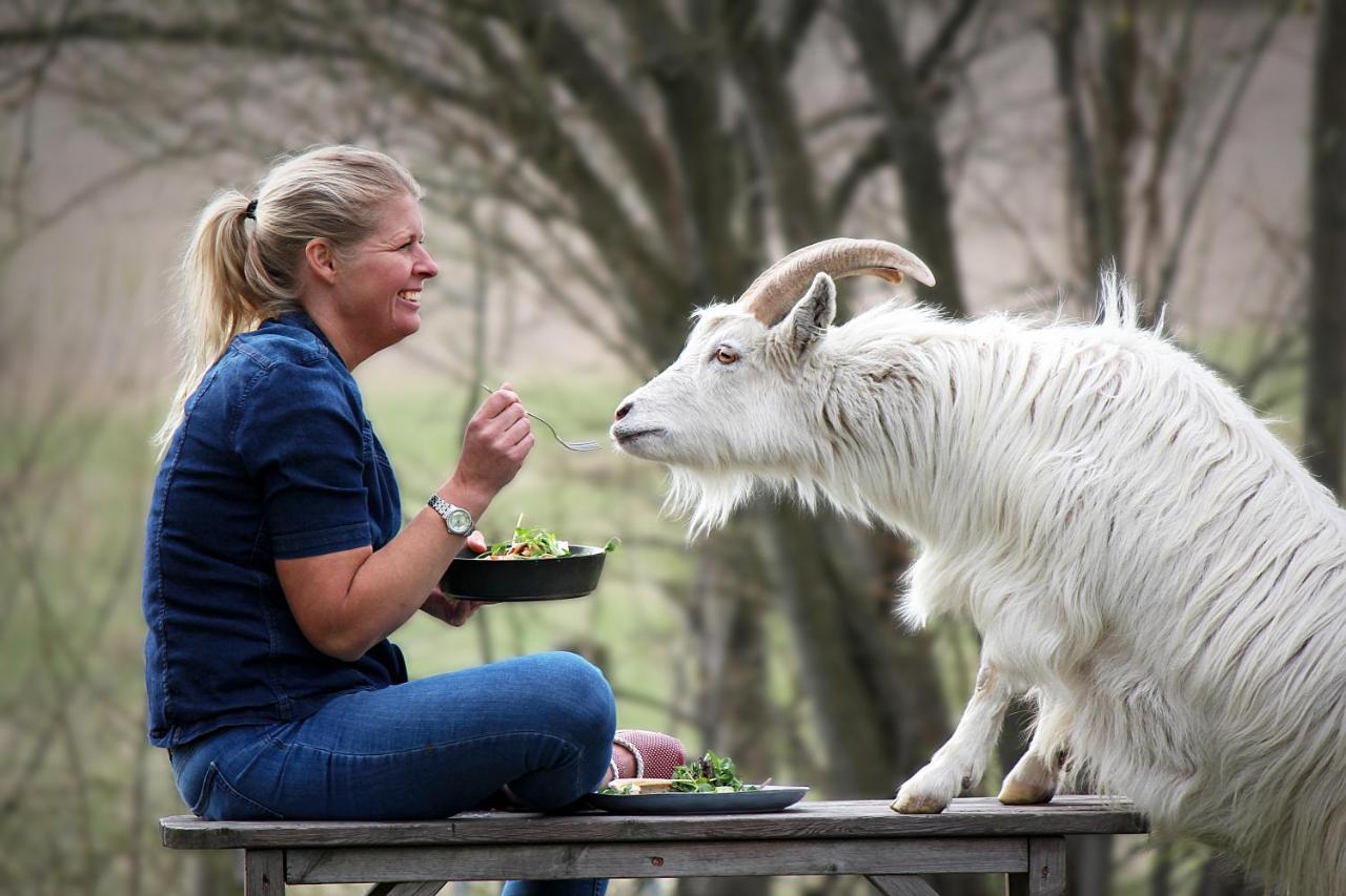 Toric Farmlodge Brastad エクステリア 写真