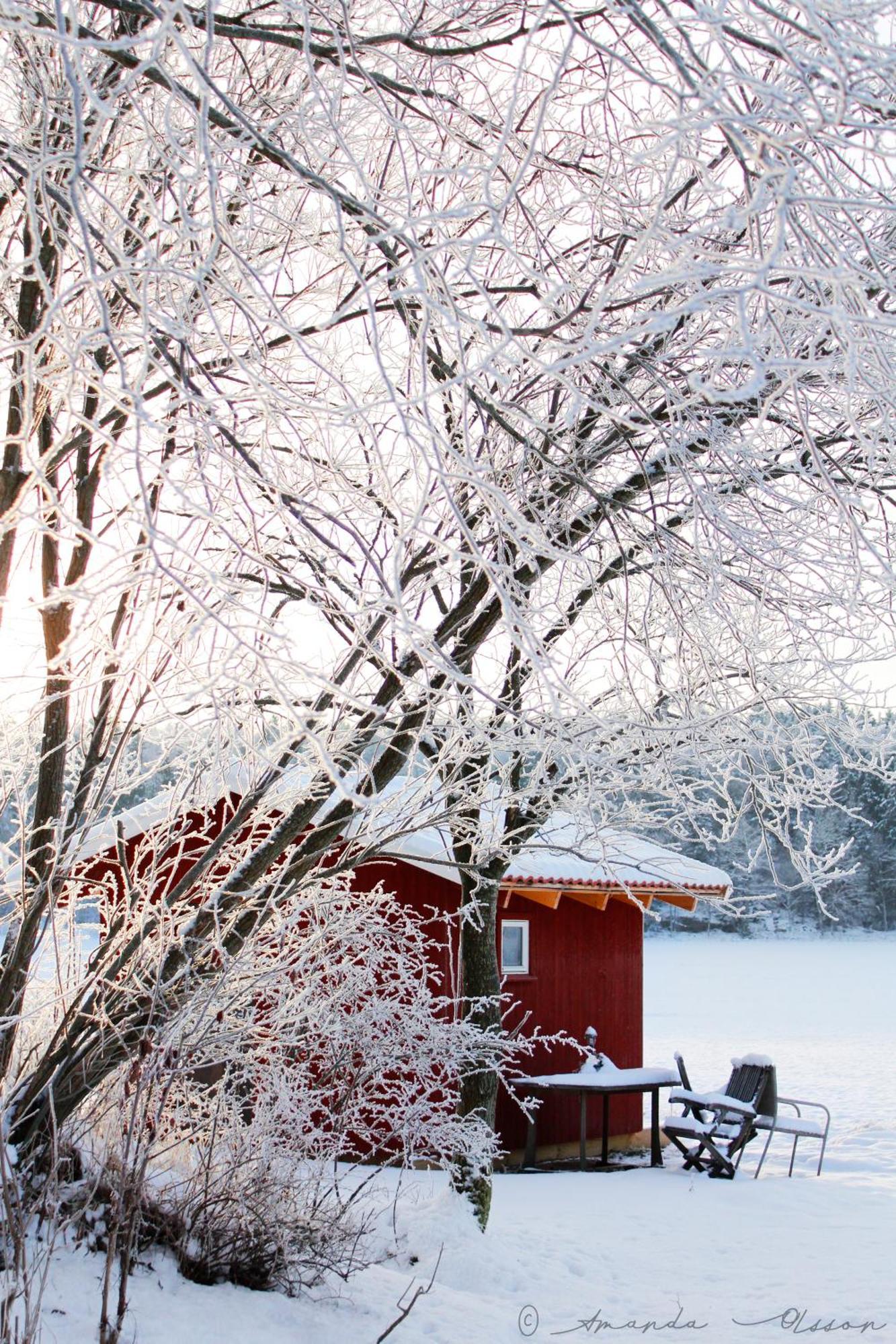 Toric Farmlodge Brastad エクステリア 写真