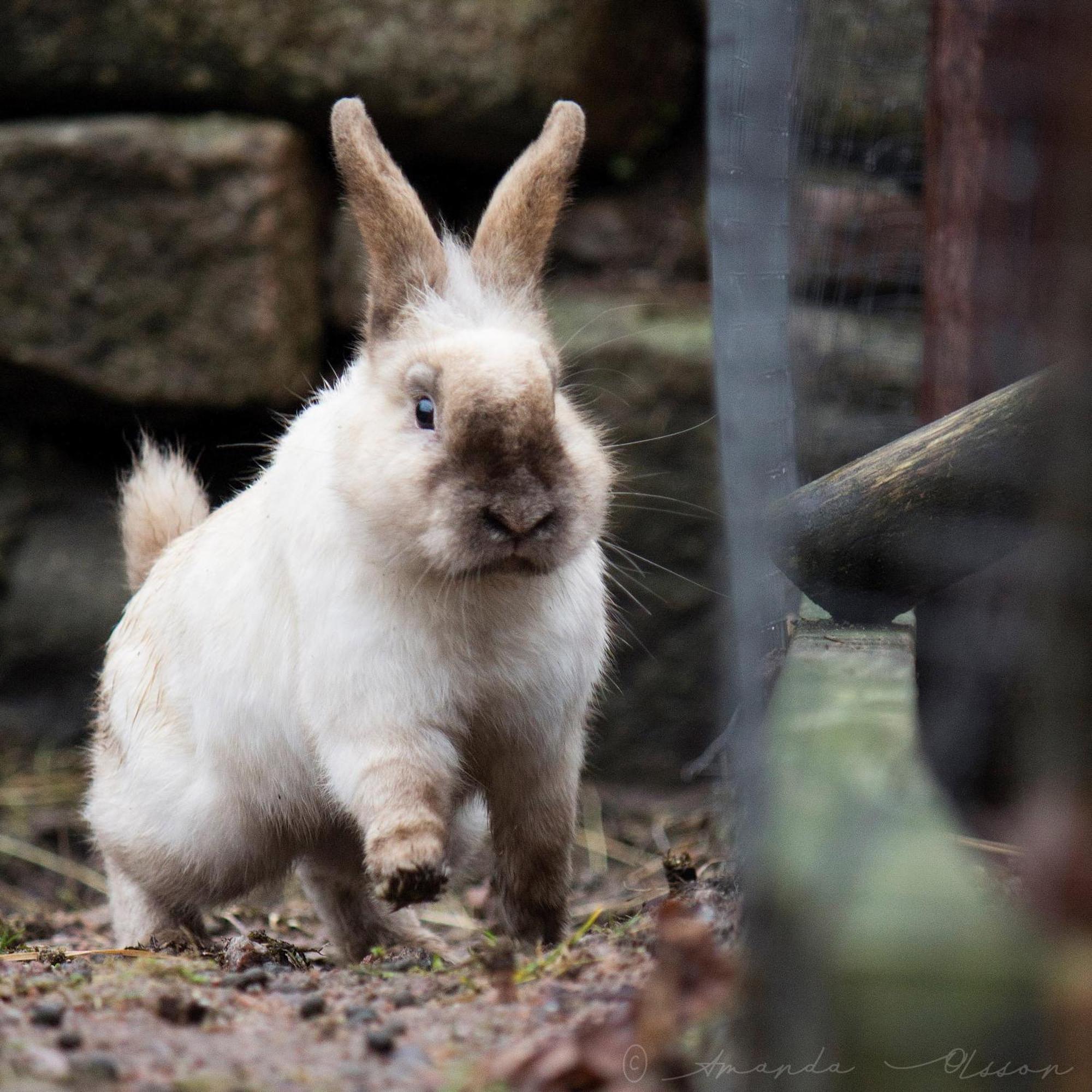 Toric Farmlodge Brastad エクステリア 写真